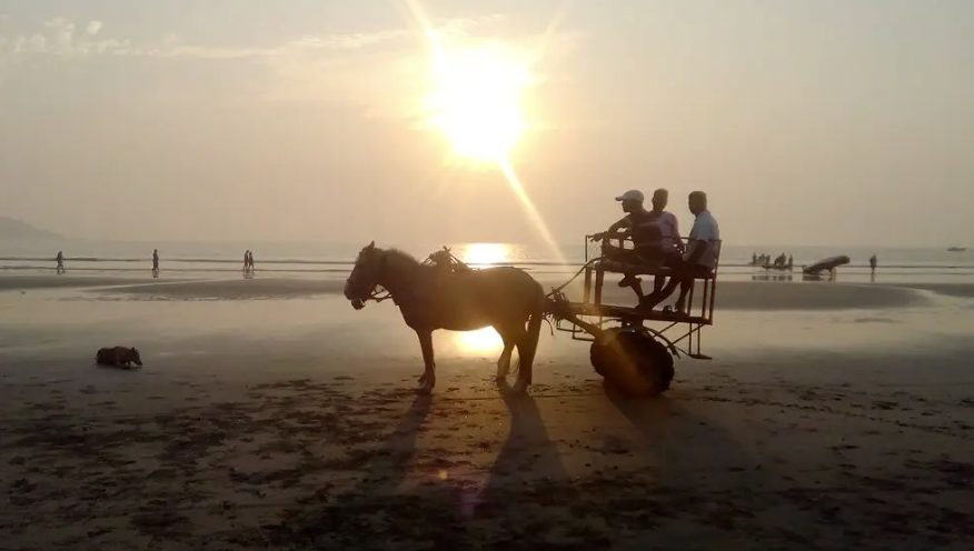 Horse cart and beach walk in Revdanda